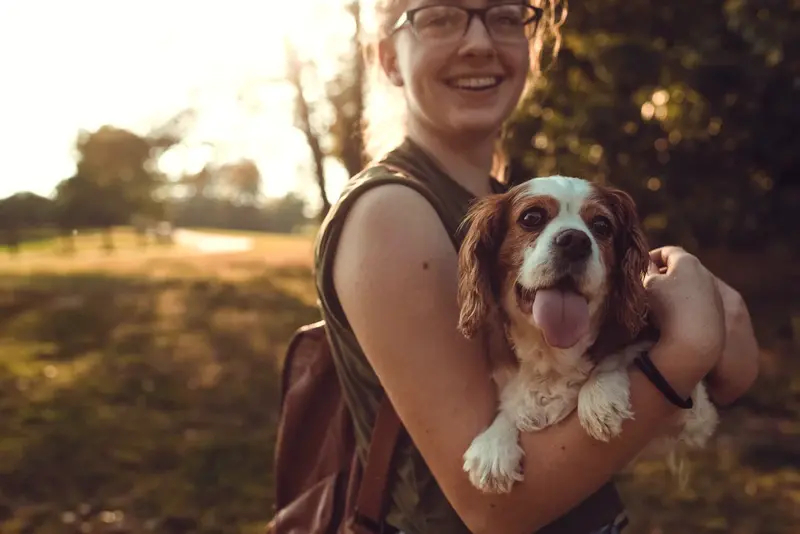¿Cuánto cuesta tener una mascota?